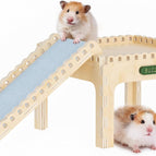 Platform & Ladder