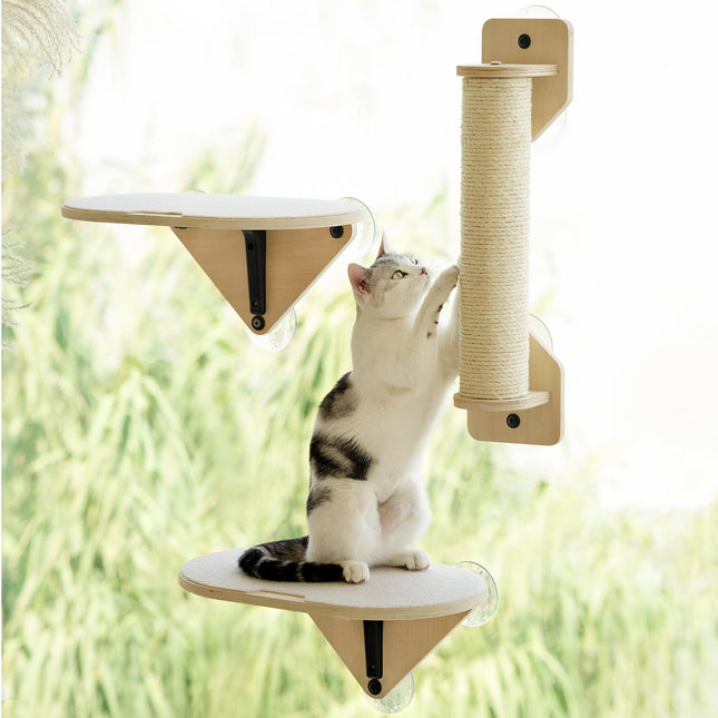 EDAGNY Katzenfenstersitzstange, Katzenkratzbaum und Katzenplattform mit starken Saugnäpfen für Hauskatzen (Grundfarbe, 3 PCS Set)