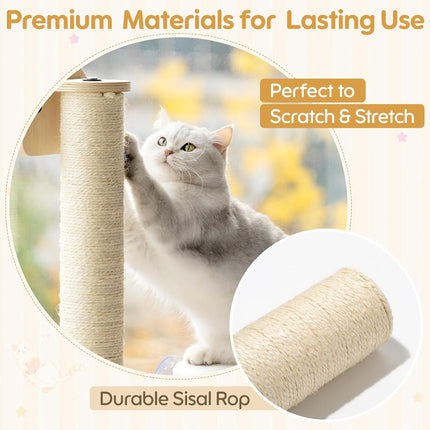 EDAGNY Katzenfenstersitzstange, Katzenkratzbaum und Katzenplattform mit starken Saugnäpfen für Hauskatzen (Grundfarbe, 3 PCS Set)