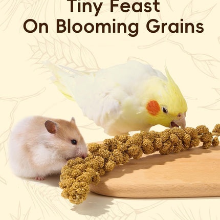 BUCATSTATE Natural Hamster Bedding - Flowers & Herbs & Sprays for Cage Habitat Decor