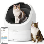 cat litter box